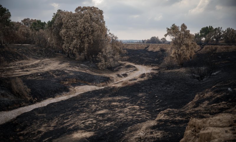 סוף סוף: התגובה של נתניהו לטרור העפיפונים