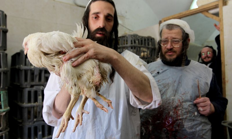 השופטת שלחה את יואל קרויס ל-7 חודשי מאסר