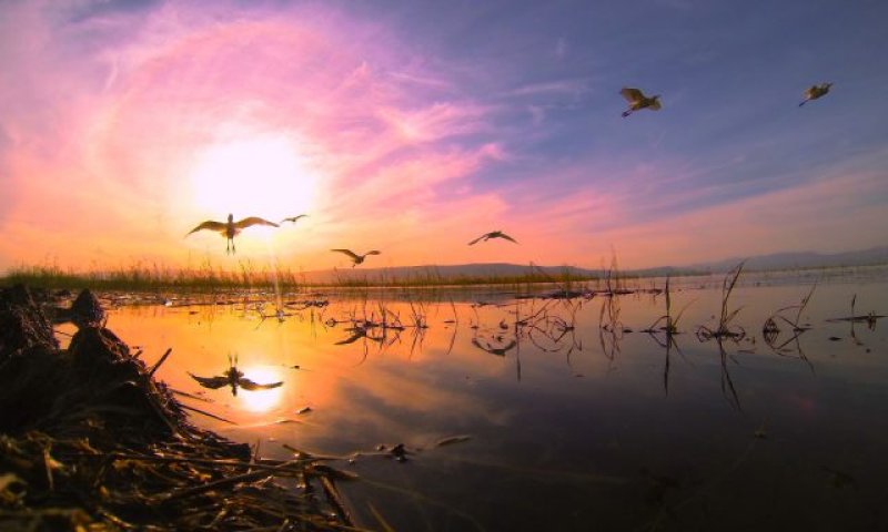 "כנרת &ndash; ים של חיים" הכנרת כמו שלא ראיתם מעולם