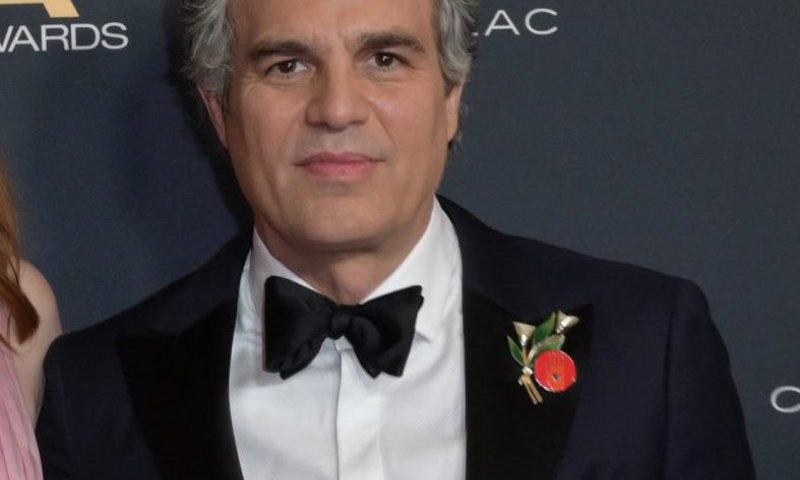 רצח הביבסים או הקריאה להפסקת האש? הקרב על הנרטיב באוסקר