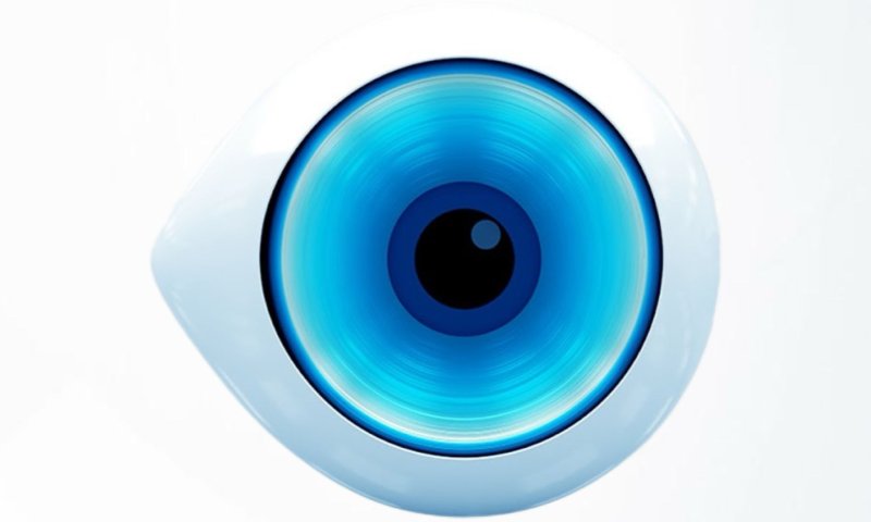 מצב חירום: חבלנים בדרך לבית האח הגדול