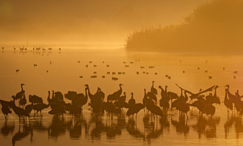 גלריה מהממת: אחרי הסערה באגם החולה
