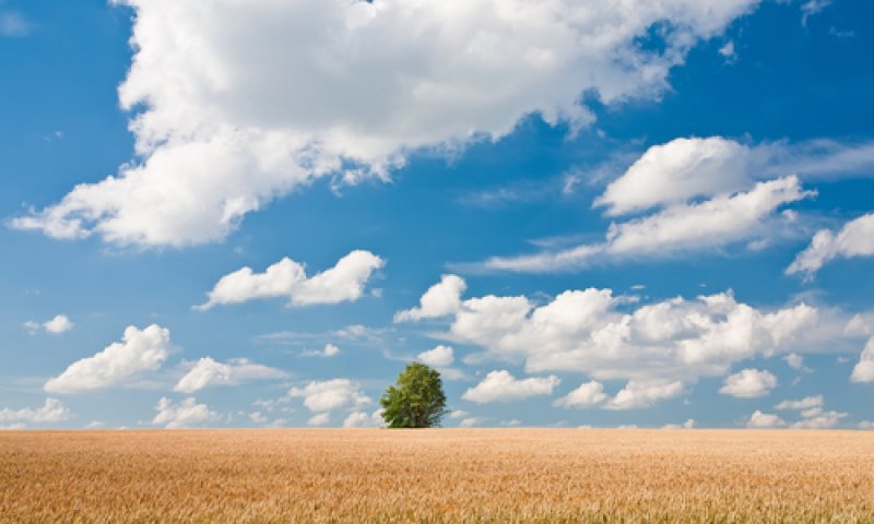 ירידה בטמפ'; ומתי גל החום יתחדש? תחזית מזג אוויר לשבוע הקרוב