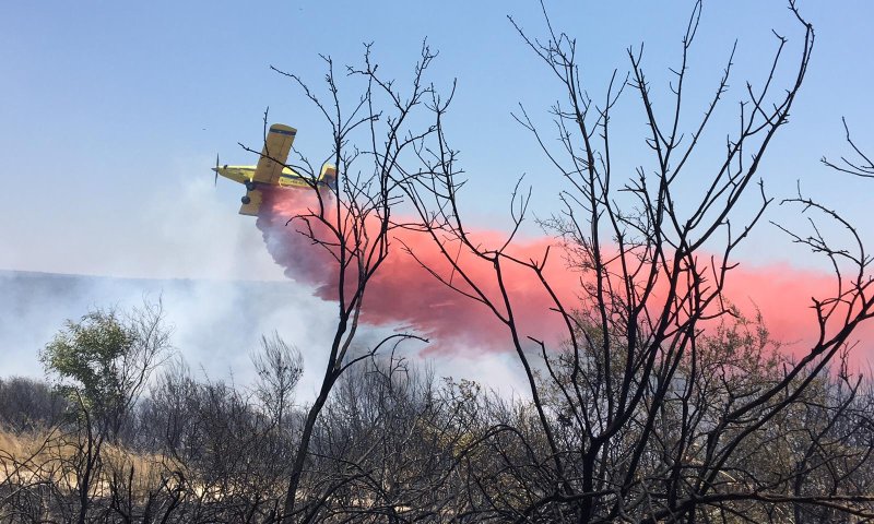 מסתמן: שריפת החורש ליד יערה &ndash; כתוצאה מהצתה
