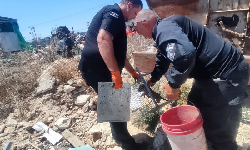 'הוחזקו בתנאים קשים': התעללו בגורי כלבים ונתפסו