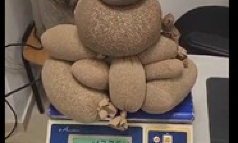 מעצר בנתב"ג: 4.3 קילו קנאביס הוחבאו בגרביונים