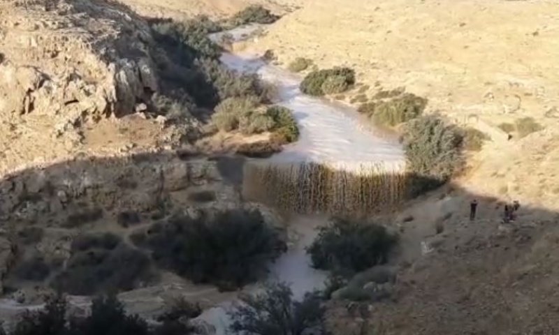 אחרי לילה גשום | זרימה אדירה בנחלי הדרום. צפו