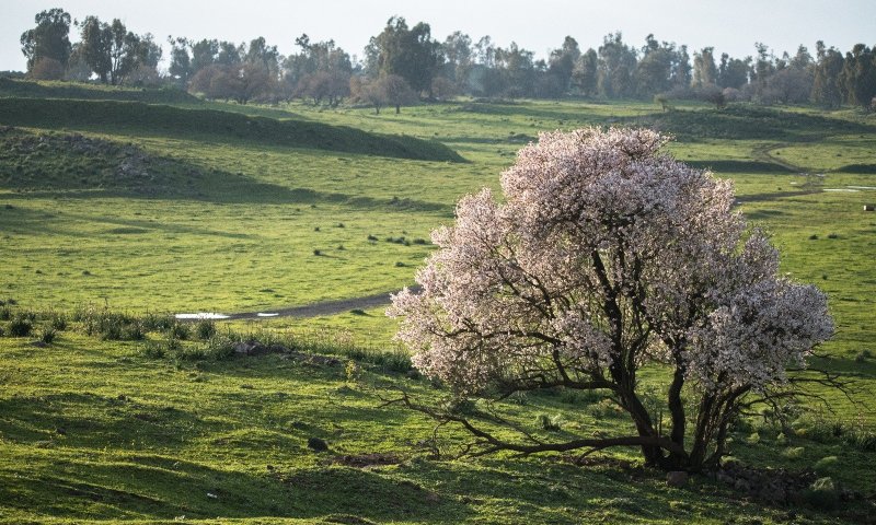 עלייה בטמפ' ורוחות; ומתי הגשם חוזר: תחזית מזג אוויר לסופ"ש