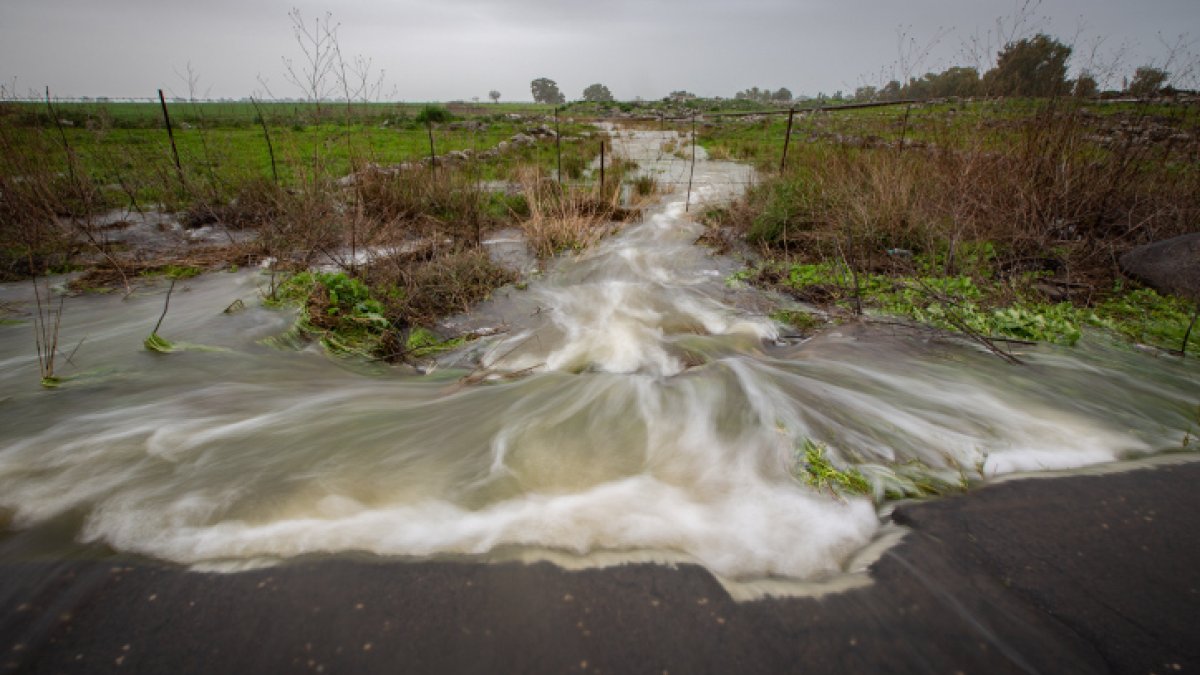 השירות המטאורולוגי בעדכון מטורף: 