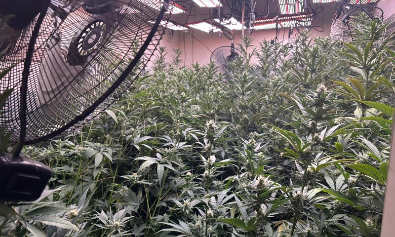 בני ברק: נחשפה מעבדת סמים בעיר