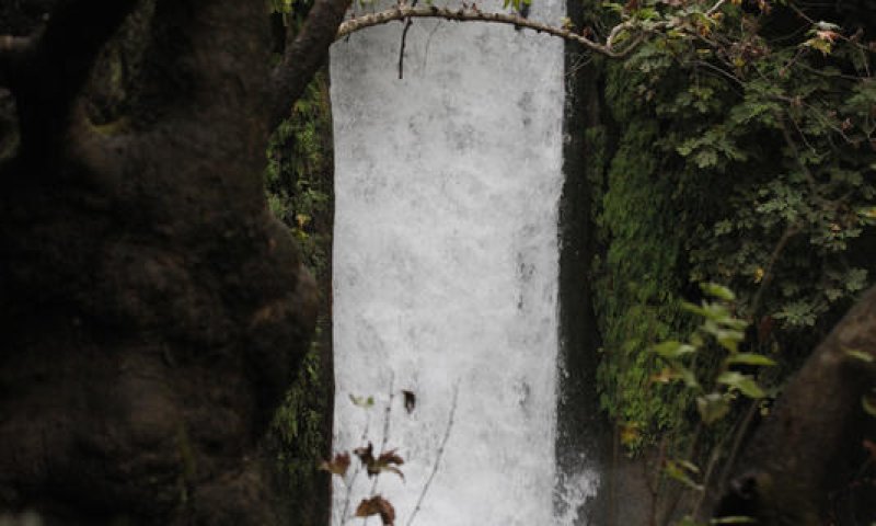 חוזרים לטייל: עוד חמישה אתרים נפתחו למבקרים בצפון
