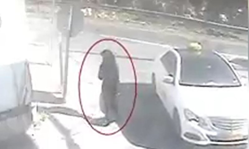 שולפת סכין ומנסה לדקור לוחם: תיעוד מפיגוע הדקירה