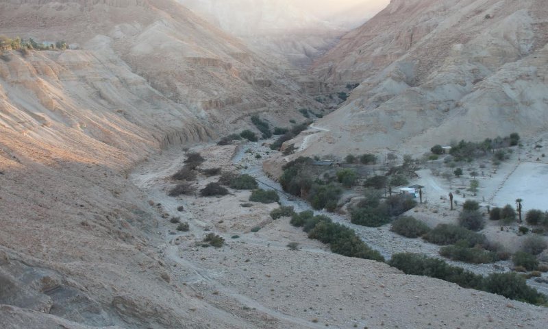 תלמידים ערבים יידו אבנים על תלמידים יהודים