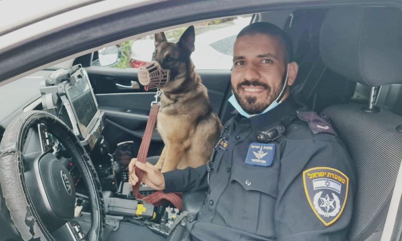 צפו: כך הוחזרה הכלבה של השחקן שלמה וישינסקי