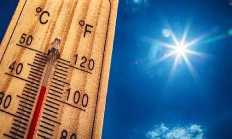 חם מהרגיל, רוחות ואובך: תחזית מזג האוויר