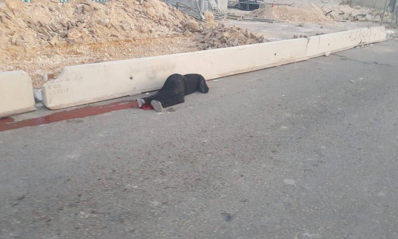 מחבלת שלפה סכין במחסום קלנדיה. נורתה ונהרגה