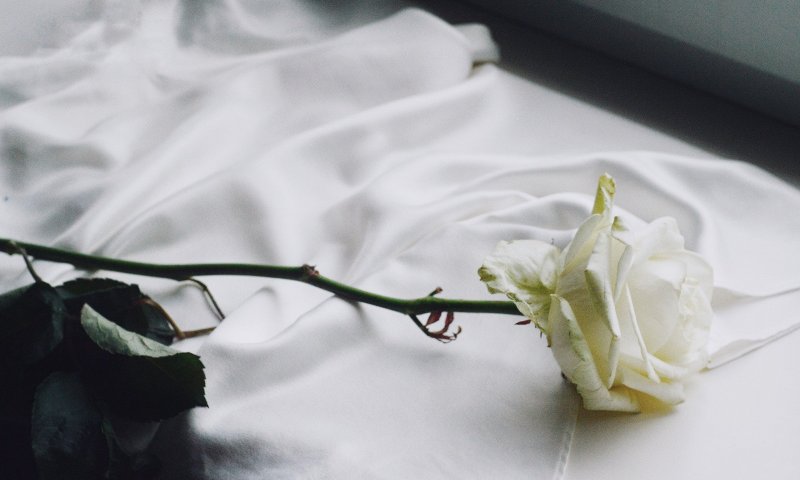 בדיוק בזמן: טיפים לאיפור לבן לשבועות