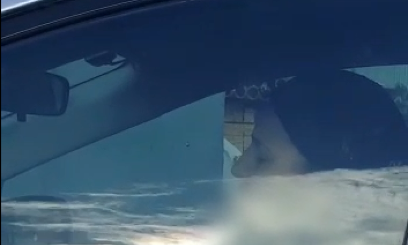 צפו: השוטרים נדהמו: ברכב נוהגת אישה ישנה