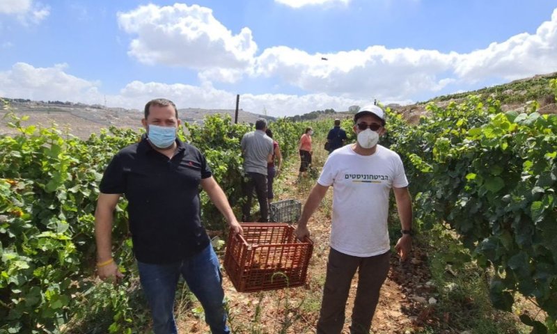 "הקורונה נקודתית, הריבונות לדורי דורות"