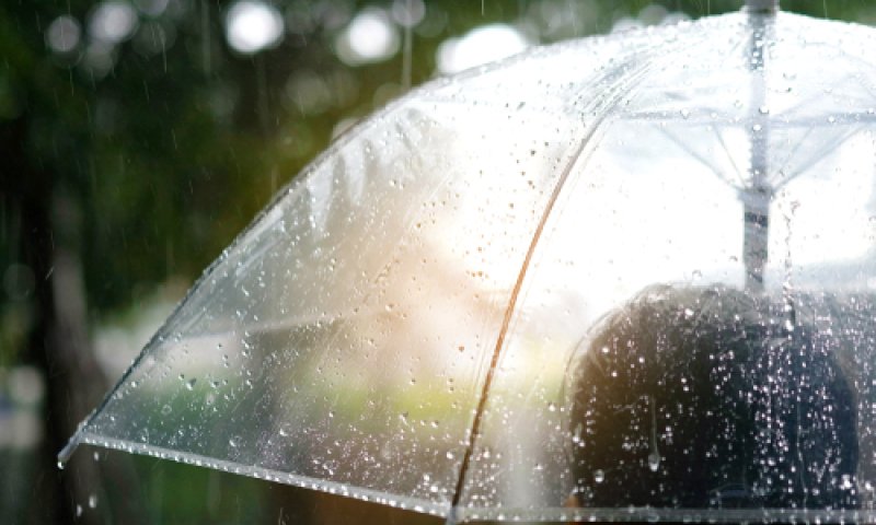 גשם, שטפונות וסופות רעמים: תחזית מזג האוויר