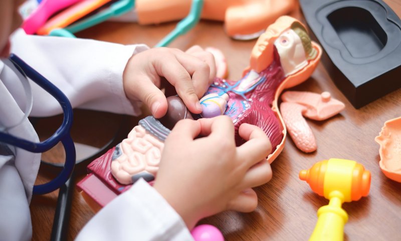 'הגוף-מדריך למשתמשים'| המידע שתופתעו לקרוא