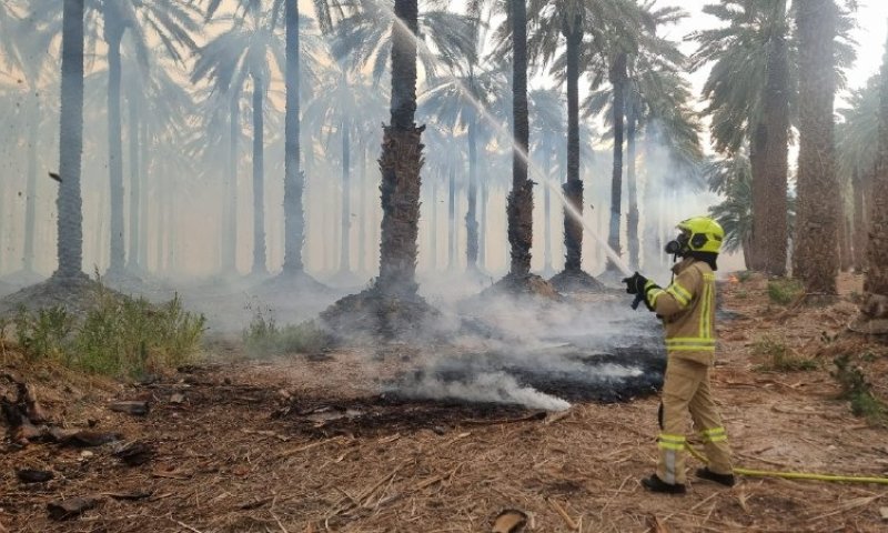 השריפה בקליה: עדיין לא הושגה שליטה על האש