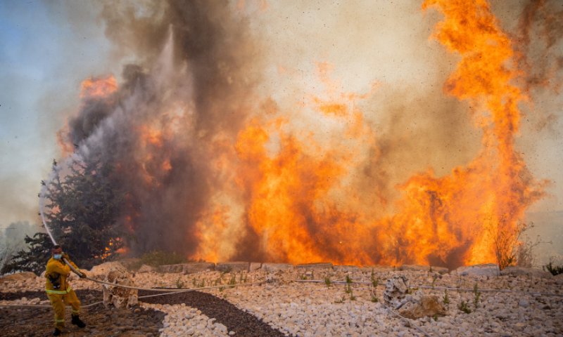 65 הרוגים, בהם 28 חיילים, בשריפות ענק באלג'יריה