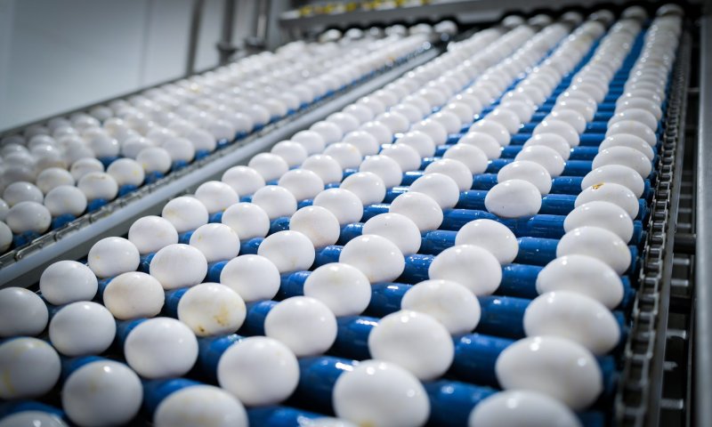 יוקר המחייה: בשבוע הבא יתייקרו מחירי הביצים