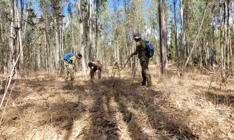 חיבור לשטח: הרעיון שהוביל להקמת יחידת 'מרעול'