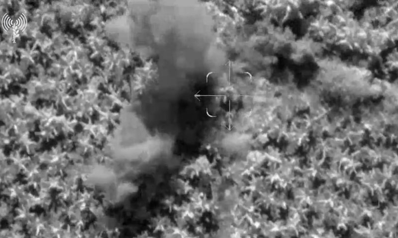 בירי פגזים ומהאוויר: צה"ל חיסל מחבלים בדרום לבנון