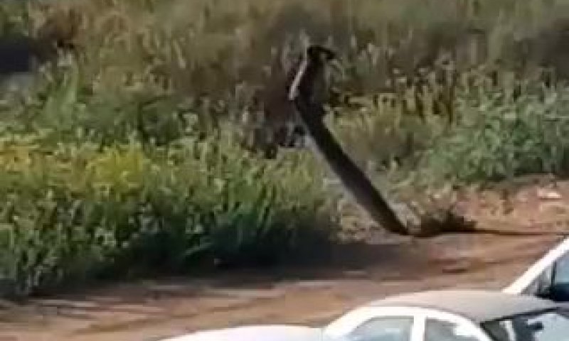 צבע אדום באשדוד: הרקטה נפלה, לא התפוצצה. תיעוד