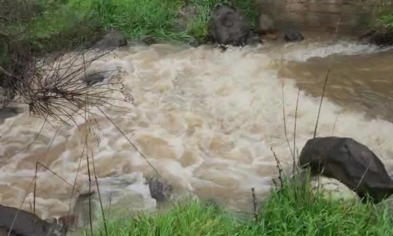 הסערה בעיצומה | זרימות אדירות בנחלי הצפון. צפו