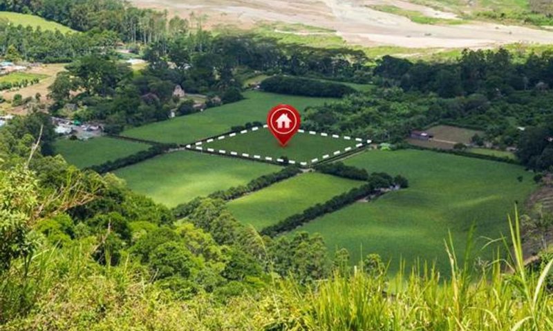 מדוע ישראלים רבים מחפשים כיום לרכוש קרקע למכירה?