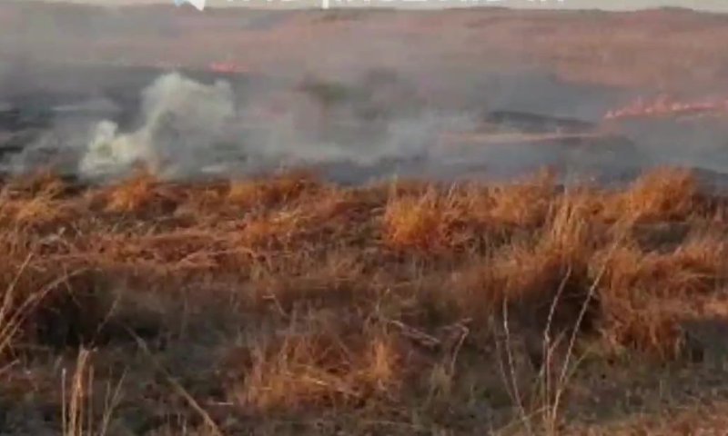 טרור הבלונים נמשך: 23 שריפות פרצו בעוטף עזה