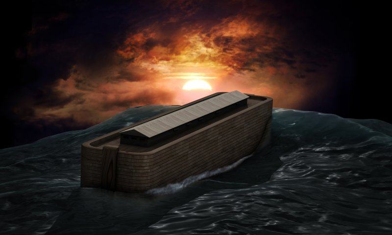 פרשת נח: על 'ראש קטן' ו'ראש גדול'