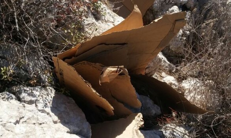תלמידי הישיבה בחיפה תפסו על חם מוקד הצתה