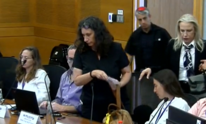 ח"כ פוגל העיף עו"ד מהדיון בוועדה: "תתביישי לך". צפו