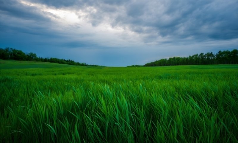 השירות המטאורולוגי בעדכון דחוף: האיזור שהכי מסוכן להיות בו