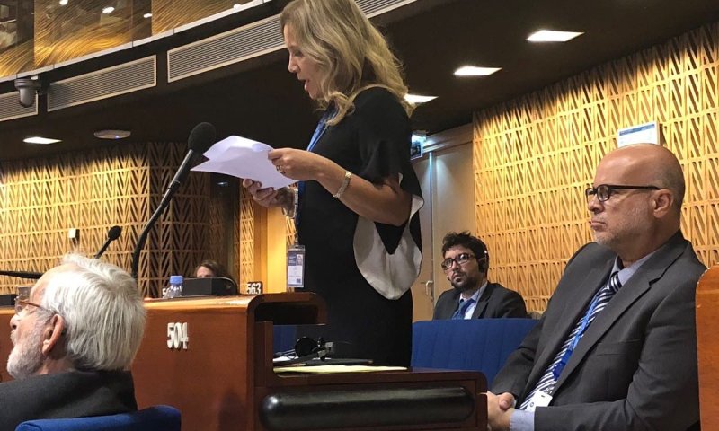 מועצת אירופה: "ישראל פוגעת בקטינים פלסטינים"