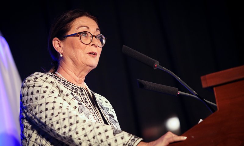 חיות זועמת: "פסקת ההתגברות רעה ומסוכנת"