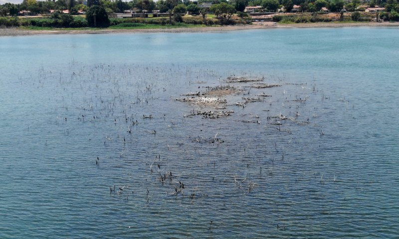 דאגה בצפון: נחשף האי המפורסם בכנרת