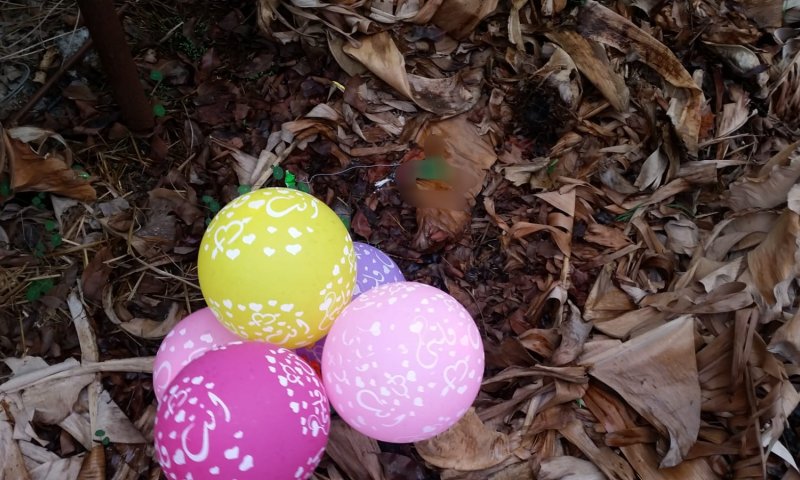 אחרי שבועות של שקט: הטרור חזר לעוטף עזה