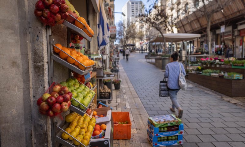 בעקבות המלחמה: עלייה בייבוא תוצרת צמחית טרייה לישראל ב-2024