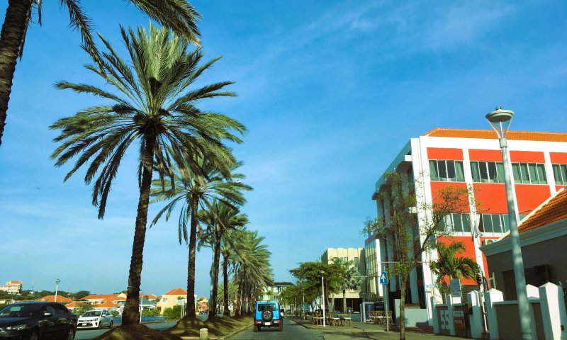 יותר קטנה מפתח תקווה: המדינה הזעירה שעשתה היסטוריה הלילה