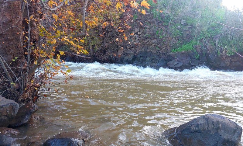 משרד הבריאות באזהרה חמורה למטיילים בצפון