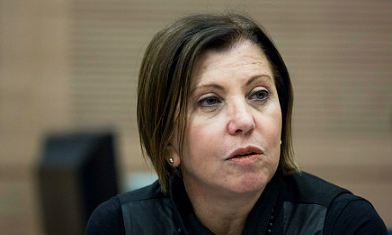 זהבה גלאון ל'סרוגים': "זה לא יקרה הרבה אבל אני תומכת בבנט"