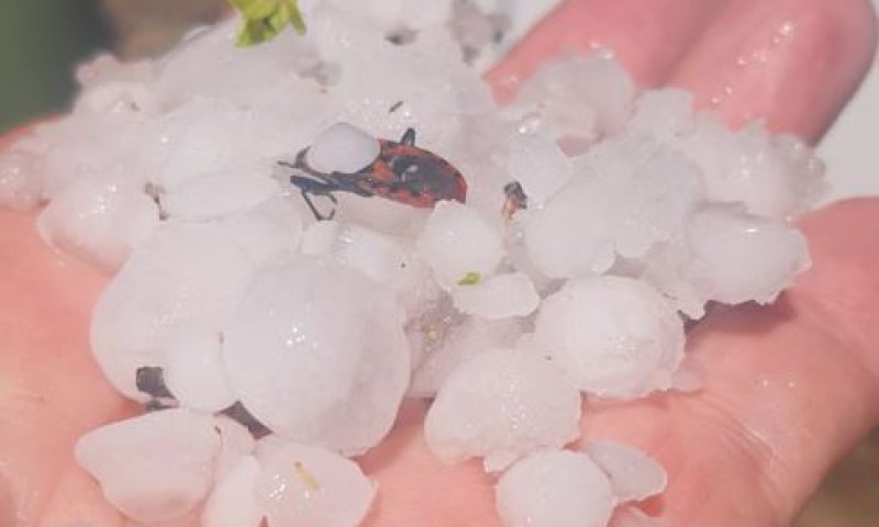 צפו: ברד כבד בדרום; מאות ברקים פגעו בשטח ישראל