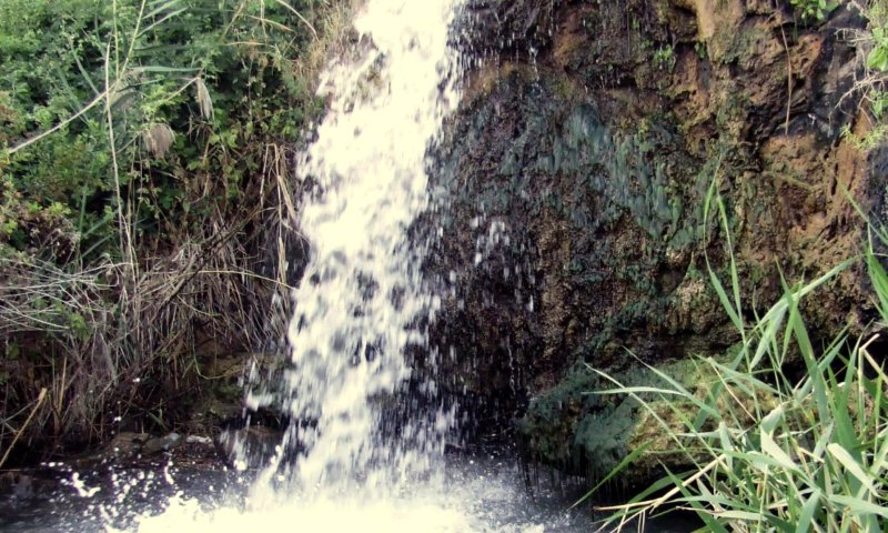 מטיילים בחופש? ההנחיות שישמרו עליכם בטבע