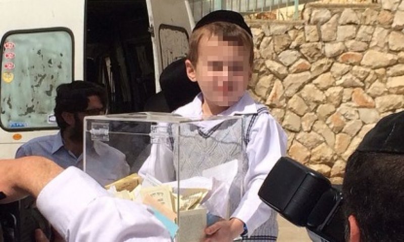 ברוך רופא חולים: האחים גרוס חזרו לבית הספר