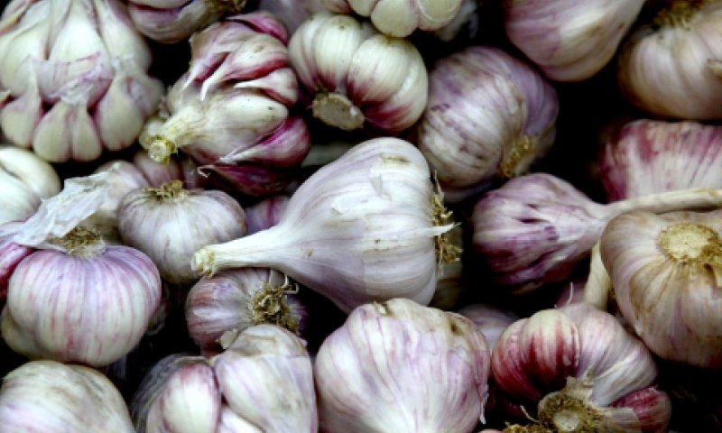 אזהרה: בעקבות בדיקת מעבדה: בדקו את השום